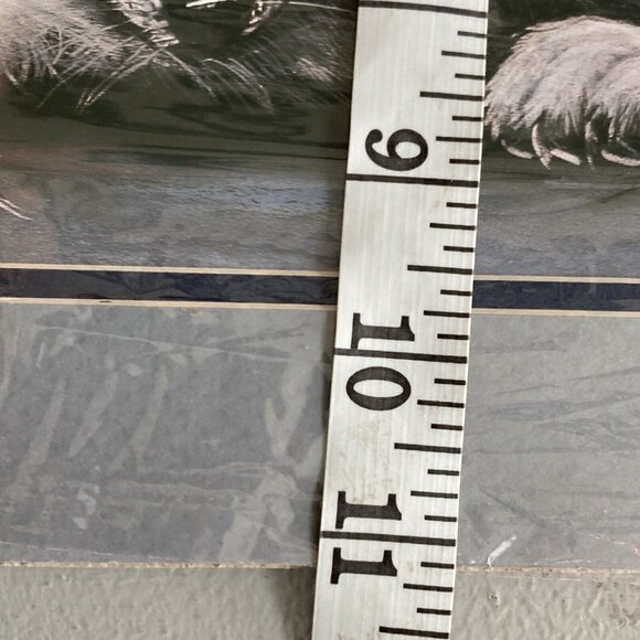 Carole Bourdo "Pile Of Pups" Vtg Signed In Plate Native American Wolf LG Print - Picture 8 of 9